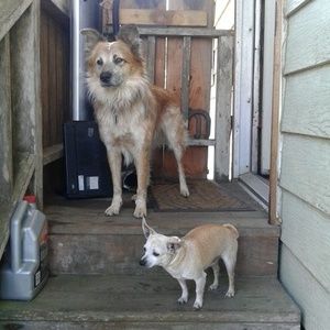 Meet your Posher, Jo